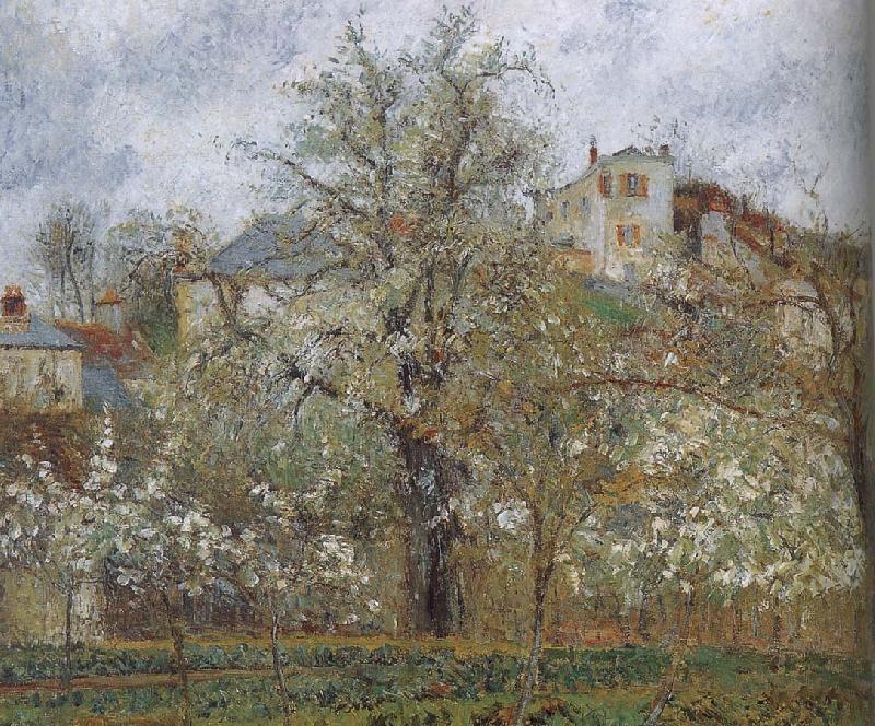 Camille Pissarro spring flowering gardens and trees oil painting image